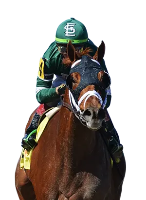 Sports Betting